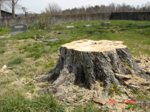 John Logsdon Cemetery